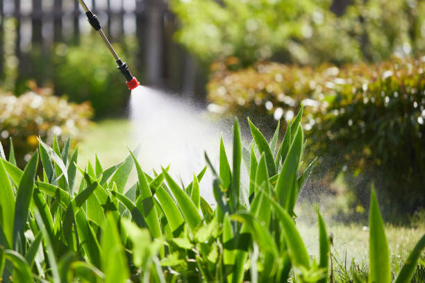 24/7 Emergency Mosquito Control experts in St. Augusta, MN